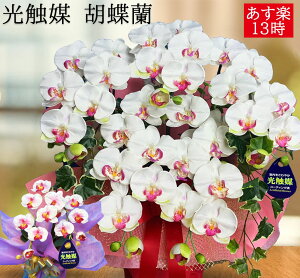 JXj v[g Ӓ kC  j J J@ 5{ G}  zCg ~fB ~j RRLt[ Ê җ  CeA  S  Ď AW ̉ 