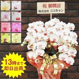 開店祝い 光触媒 胡蝶蘭 お祝い ギフト プレゼント 造花 開業 開院 花 鉢植え 5本 父の日 大輪 光触媒 白 移転 就任 昇進 退職 古希 喜寿 長寿 北海道 九州 誕生日 法人 会社 事務所開き 床の間 飾り お供え