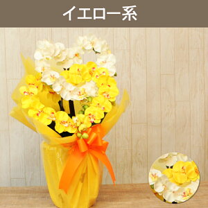 Mtg Ӓ  EGfBO v[g n[g^ ~fB sN ~j G} j җ  e@ JXj T J GXe  u[  J@  a   Mtg 