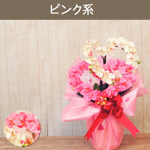 Mtg Ӓ  EGfBO v[g n[g^ ~fB sN ~j G} j җ  e@ JXj T J GXe  u[  J@  a   Mtg 