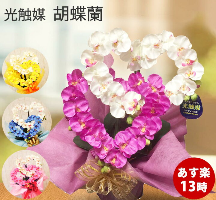 楽天市場 プレゼント 胡蝶蘭 ピンク ミニ 光触媒 お祝い 敬老の日 早割 還暦 花 アレンジメント 造花 開店祝い サロン オシャレ 開業 ハート エステ 青 ブルー 黄 開院 結婚 誕生日 居酒屋 美容院 可愛い ギフト 結婚記念日 紫 クリニック ネイル