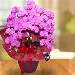  Ӓ  G} 3{  C j  JX J a N Mtg v[g v~A Ê Ď җ P  S 傤 RRLt[ ؎D  