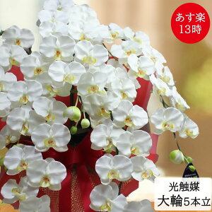 法人 花 造花 アーティフィシャルフラワーの人気商品 通販 価格比較 価格 Com