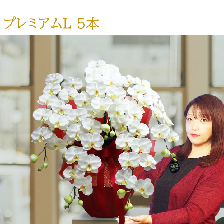 楽天市場 こちょうらん 選挙事務所開き祝い 株主総会 就任祝い 花 造花 の 胡蝶 蘭 大きい 贈り物 5本 ギフト プレゼント 大輪 光触媒 ホワイト イエロー 法人 開業 開店 移転 インテリア 会社 お祝い 贈答用 プレミアム 木札 造花の胡蝶蘭専門 Cococanフラワー 楽天市場 こちょうらん 選挙事務所開き祝い 株主総会 就任祝い 花 造花 の 胡蝶 蘭 大きい 贈り物 5本 ギフト プレゼント 大輪 光触媒 ホワイト イエロー 法人 開業 開店 移転 インテリア 会社 お祝い 贈答用 プレミアム 木札 造花の胡蝶蘭専門 Cococanフラワー