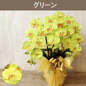 yȃN[|Lz G} Ӓ JXj  3{  J Mtg j  ړ] AC i ސE a ze ybg    @v A ؎D PAz[ 