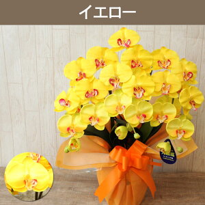 yȃN[|Lz G} Ӓ JXj  3{  J Mtg j  ړ] AC i ސE a ze ybg    @v A ؎D PAz[ 