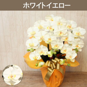 yX[p[SALE zzG} Ӓ JXj  3{  J Mtg j  ړ] AC i ސE a ze ybg    @v A ؎D PAz[ J 