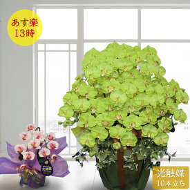 【50％OFFクーポン対象★P3倍】造花 インテリア 大きい 母の日 ギフト 花 光触媒コーティング グリーン 胡蝶蘭 希少 送料無料 お祝い 期間 開店 プレゼント 大型 10本 ホテル 受付 オフィス ロビー 緑 はなやか 人とかぶらない 敬老の日 お買い物マラソン sale セール