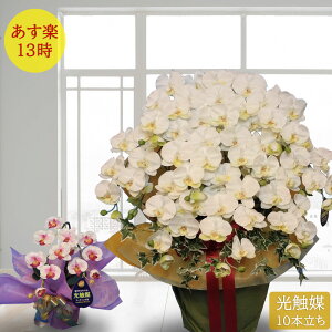 アイビー 白 造花 アーティフィシャルフラワーの人気商品 通販 価格比較 価格 Com