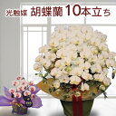 社長 就任 祝い プレゼント 母の日 開店祝い 胡蝶蘭 花 送料無料 ギフト 枯れない らん 造花 光触媒 10本 ホワイト イエロー 豪華 コチョウラン 誕生日 大きい 開業 移転 引越し 開院 敬老の日 お中元 サマーギフト