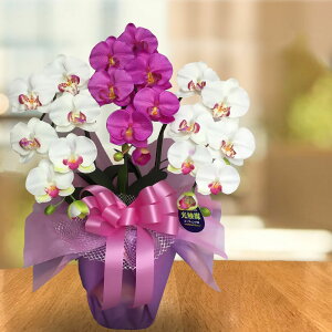 hV̓ v[g G} Ӓ j JX   Mtg c    a 3{ Vz z J ړ] AC J@ 킢 ~bNX I[v h]  { 