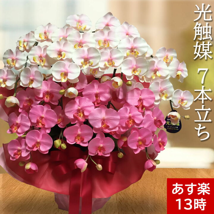 楽天市場 周年祝い 花 ピンク お祝い 誕生日 ギフト 可愛い 百寿 開店 花 女性 60代 胡蝶蘭 ギフト プレゼント 造花 7本 ミックス ホワイト 光触媒 開業 開院 フェイク 大きめ 鉢植え ネイルサロン 敬老の日 早割 開設 造花の胡蝶蘭専門 Cococanフラワー