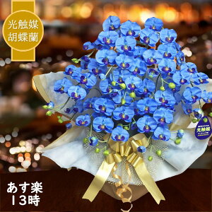 胡蝶蘭 青の通販 価格比較 価格 Com