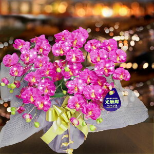  Nj  XibN Nu }} a  LL hV̓ 1N j Mtg v[g club JX Ӓ    5{ ~j G} ~fB C J  a