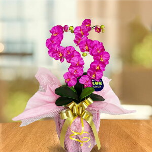  CeA  j Mtg v[g  |Cg  JXj  ~jӒ  G} ~fB 2{  a JXj j S D bsO tFCN T