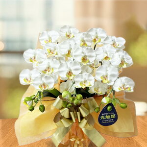 yX[p[SALE zzMtg v[g a  G}  AWg Ӓ  u[GKX  ~fB 3{ JXj j ړ] i AC J@ J bar Xg  