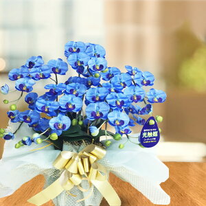 Ӓ v[g Mtg  u[GKX  ~fB 5{ JX G} j Ď ~j CeA a  tFCN T A v[g IV j 50 60 70 