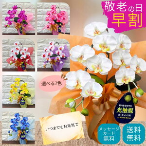 ~fB Ӓ 1{ Mtg G}  ͂Ȃ ̓ v[g hV̓ Ê   S a  Ε  bsO ꗧD c c  T}[Mt