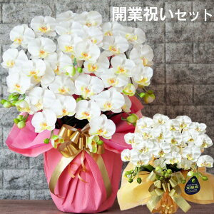 yJƏjZbgz Ӓ  CeA J J@ 5{ ~fB3{ zCg F y  傤 A G} ܂Ƃߔ ؎D ItBX t tFCN RRLt