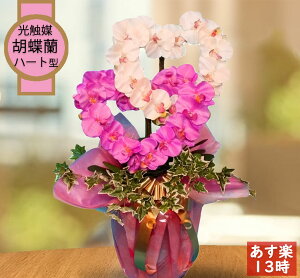  t[AWg Ӓ Mtg  n[g CeA C  tFCN O[ ACr[ G} 傤 R`E JXj av[g  蕨 Mtg