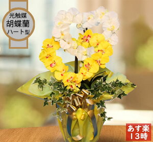  A Mtg  n[g Ӓ T JXj lC GXe NjbN  J ړ] Nu a v[g present F CG[  c  o[Xf[ 邢 C ACr[ 