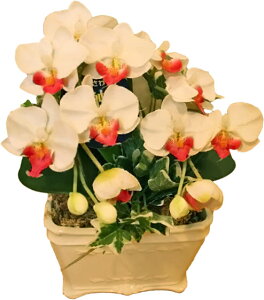 v[g }CNӒ  t[AWg a   bZ[W ~j v` 1{ 킢 Mtg  j G} zCg  Ê S җ P v`Mtg  