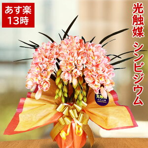 敬老の日 鉢植え 造花 アーティフィシャルフラワーの人気商品 通販 価格比較 価格 Com