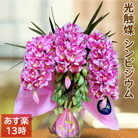 【今だけ★ポイント3倍】 シンビジューム 観葉植物 母の日 プレゼント 花 光触媒 シンビジウム 造花 ギフト ミディ ミニ 3本立 ピンク お歳暮 開店祝い 誕生日 人気 シンピジューム シンピジウム 木札 古希 喜寿 傘寿 米寿 白寿 百寿 お買い物マラソン sale セール