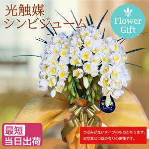 VrWE     G} ~j Mtg ~fB 3{ zCg CG[  Mtg JXj sY VrW[ VsW[ VsWE ؎D hV̓ ̓ m