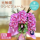 【スーパーSALE 半額】シンビジューム 観葉植物 母の日 プレゼント 花 光触媒 シンビジウム 造花 ギフト ミディ ミニ 3本立 ピンク お歳暮 開店祝い 誕生日 人気 シンピジューム シンピジウム 木札 古希 喜寿 傘寿 米寿 白寿 百寿