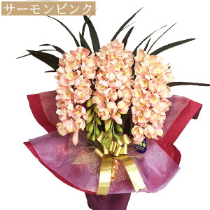 yȃN[|Lz VrWE G} JXj  3{ j  Mtg  VsWE M VrW[ ̓ ̓ a v[g VsW[  CeA 