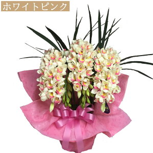 シンビジウム 光触媒 開店祝い 鉢 3本立ち お祝い 造花 ギフト 花 シンピジウム M シンビジューム 母の日 父の日 誕生日 プレゼント シンピジューム 喜寿 インテリア 米寿 お歳暮 80歳 90歳 100