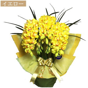 yȃN[|Lz VrWE G} JXj  3{ j  Mtg  VsWE M VrW[ ̓ ̓ a v[g VsW[  CeA 