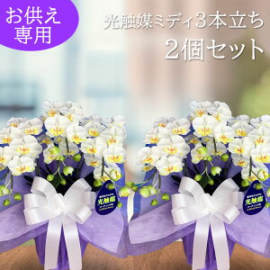    V~ AWg  ~j ފ Ӓ d ybg  L A[eBtBVt[  ͂Ȃ G} { 2Zbg   zCg F CG