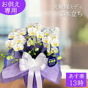 【500円OFFクーポン対象】 お悔やみ 造花 お彼岸 仏花 造花 ミニ ペット お供え 造花 胡蝶蘭 光触媒 ミディ お盆 初盆 新盆 3本立ち 仏壇 お彼岸 虹の橋 ホワイト イエロー 白 フューネラル ココキャンフラワー 敬老の日 母の日 お買い物マラソン sale
