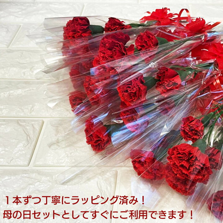 楽天市場 100円offクーポン対象 ギフト 造花 ラッピング カーネーション 30本 セット 母の日 メッセージカード ノベルティ 資材 梱包 業務用 プレゼント 大量 仕入れ 店舗 販促 1輪 介護施設 百貨店 ケアホーム 老人ホーム 光触媒 スーパーsale セール 造花の胡蝶