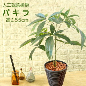 pL JXj ϗtA tFCNO[ zj  ϗtA A  CeA IV  j J J@ ړ] @l  sv  ͂Ȃ  ItBX 