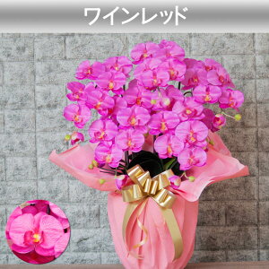 G} Ӓ JXj j Mtg v[g  J J@  A 5{   ړ] AC i ސE җ Ê  P c  kC B a @l   T N