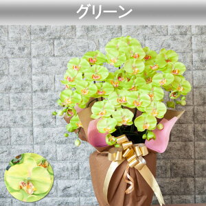 G} Ӓ JXj j Mtg v[g  J J@  A 5{   ړ] AC i ސE җ Ê  P c  kC B a @l   T N