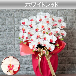 G} Ӓ JXj j Mtg v[g  J J@  A 5{   ړ] AC i ސE җ Ê  P c  kC B a @l   T N