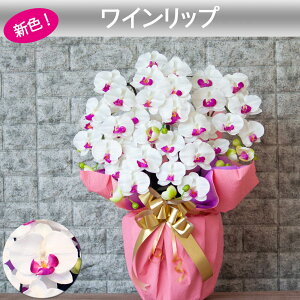 G} Ӓ JXj j Mtg v[g  J J@  A 5{   ړ] AC i ސE җ Ê  P c  kC B a @l   T N