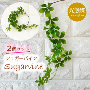 y2{ZbgzVK[oC tFCNO[  G} ~j ϗtA Ǌ| CeA ֑}  t   ItBX X ͂Ȃ lH |Cg lR|X [ 