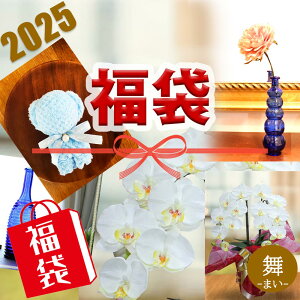  2025 yzӒ  zCg  N} ~j^I  a AW Mtg 傫  G} ~fB j y  Vt j CeA ItBX a v[g 
