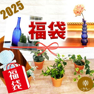  2025 yKz ϗtA G} O[ ACr[ [J [Y}[ \[vt[ ԑ N}  AWg  a v[g oY xA  o   ͂Ȃ 