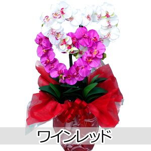 Ӓ A Mtg  AWg  Ê  G} JƏj v[g  JX F sN n[g  T CeA  Ď j hV̓  T}