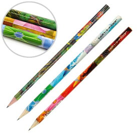 KOH-I-NOOR コヒノール 鉛筆 HB No.1271 [フォトフラワー] 【3本セット】【メール便利用可能】 [ えんぴつ 丸軸 かわいい 入園 入学 祝い ギフト プレゼント 海外 輸入 チェコ コイノア 文房具 文具 ]