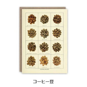 ThePatternBooks p^[ubN NVbN O[eBOJ[h y[֗p\z [  킢 g Mtg v[g CO A CMX J[h ]