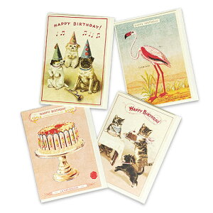 CAVALLINI Jo[j@o[Xf[J[hitjy[֗p\z [ a g Be[WfUC Mtg Xe[Vi[ m t ㎿ ˂ L  hbO 