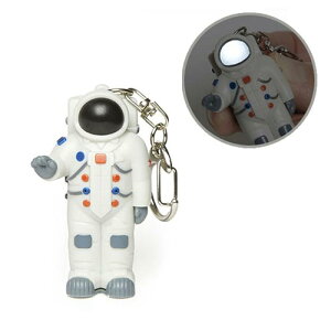 KIKKERLAND LbJ[h AXgm[c L[`F[@KKRL84 [ L[O L[z_[ Fsm  Cg 킢  G Mtg v[g ]