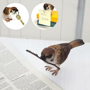 o[fB r Xp[ [ z_[ L[P[X JMu  Ƃ 킢 Mtg v[g  G ]